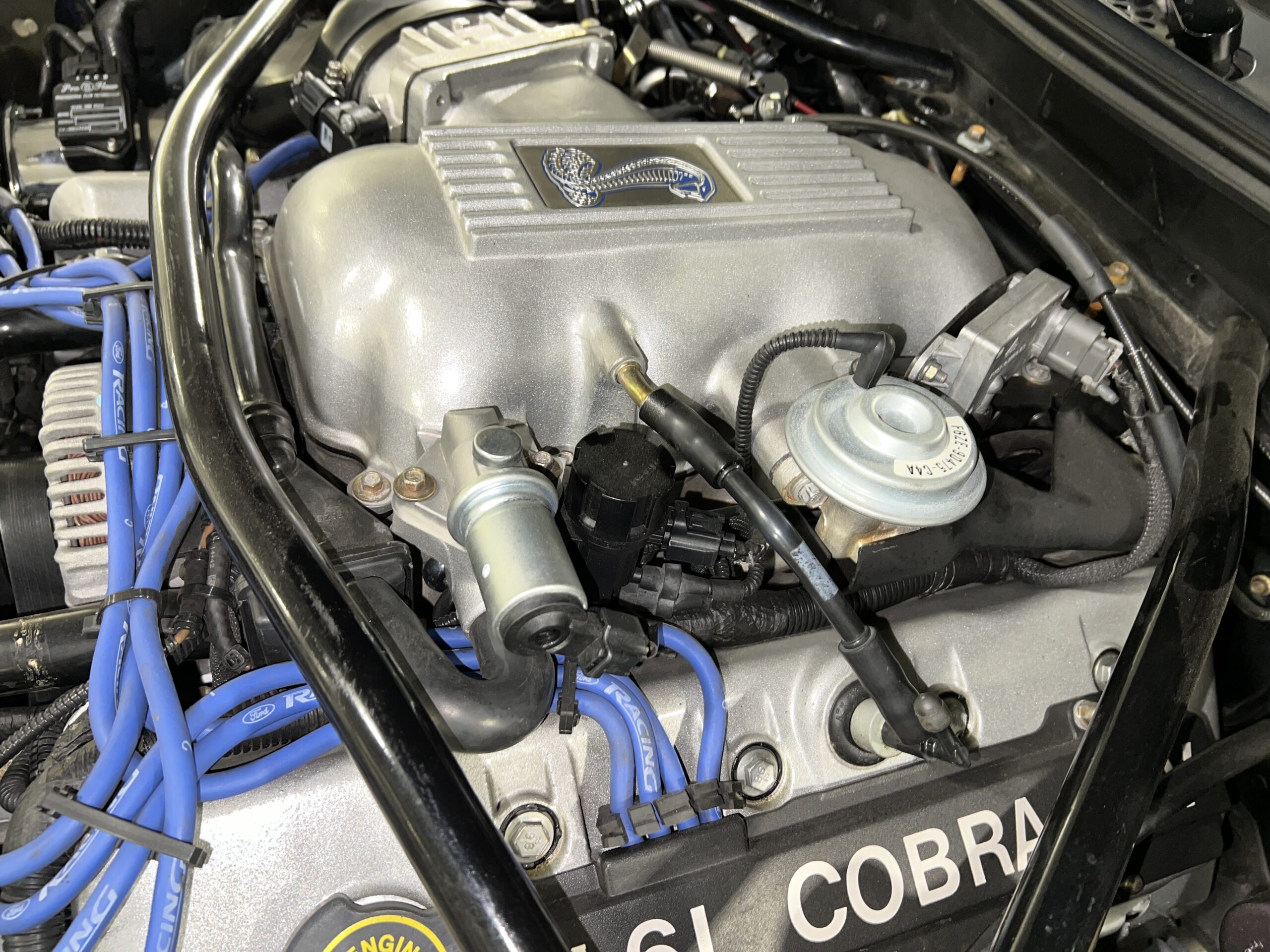 Photo 2023-12-09, 1 46 50 PM